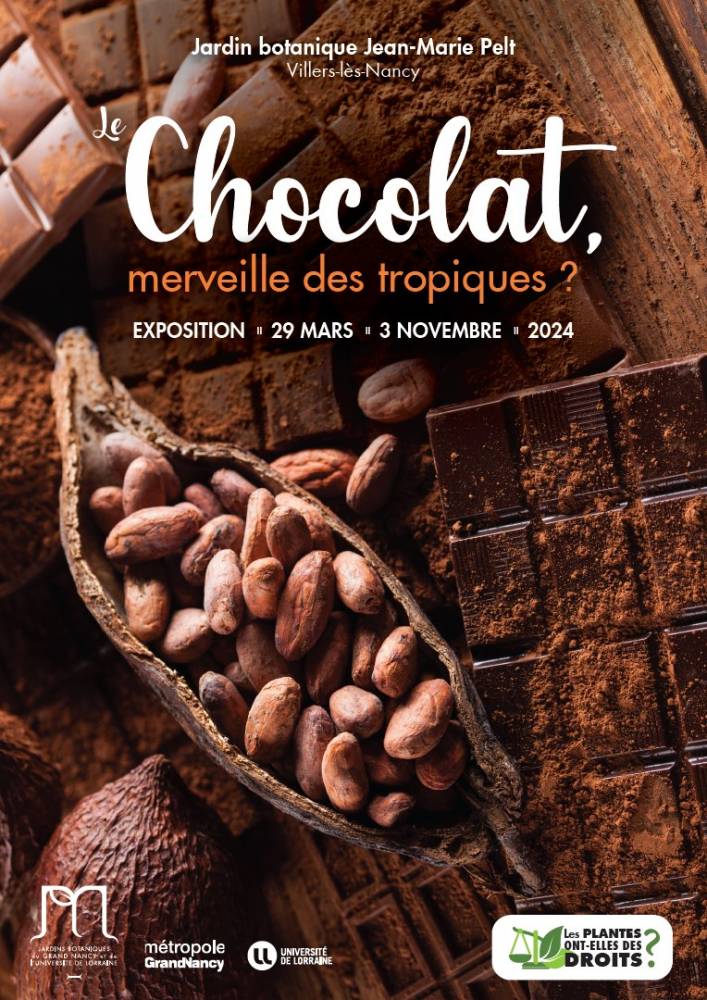 Le chocolat, merveille des tropiques ?  - Villers-lès-Nancy