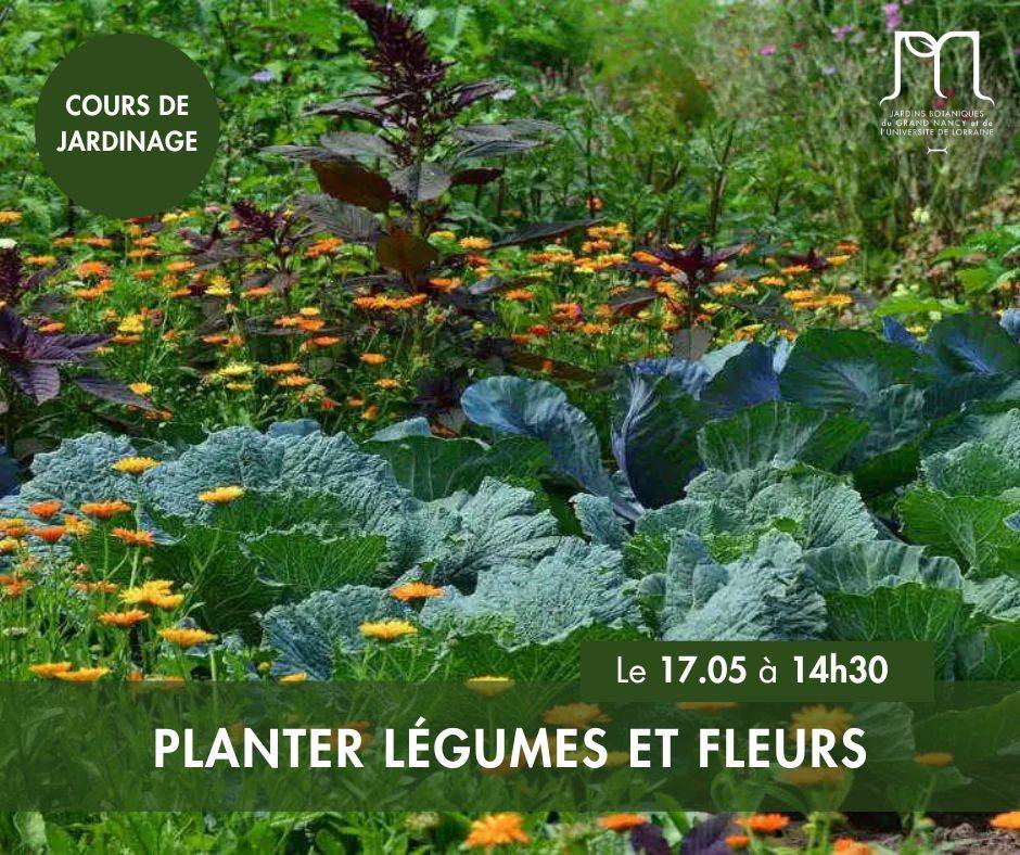 Planter légumes et fleurs - Villers-lès-Nancy
