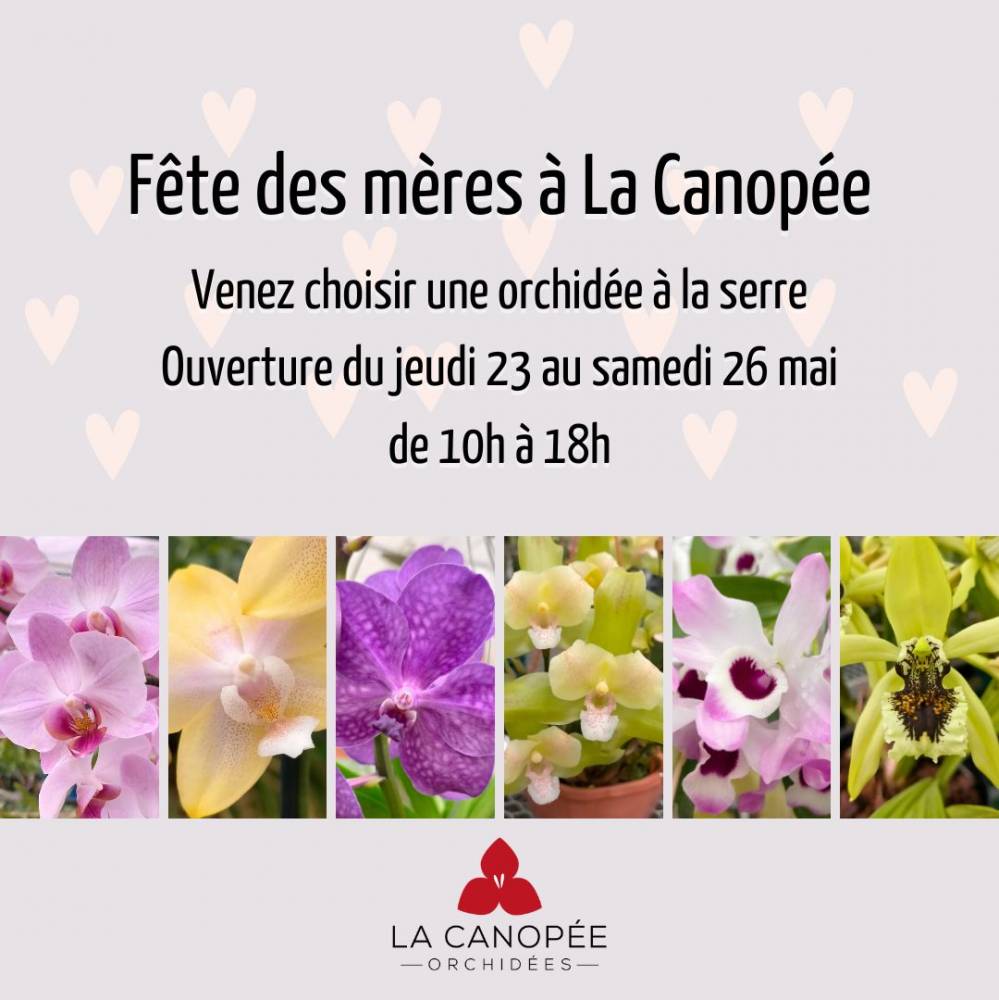 Mother's Day at the Canopée - Plougastel-Daoulas