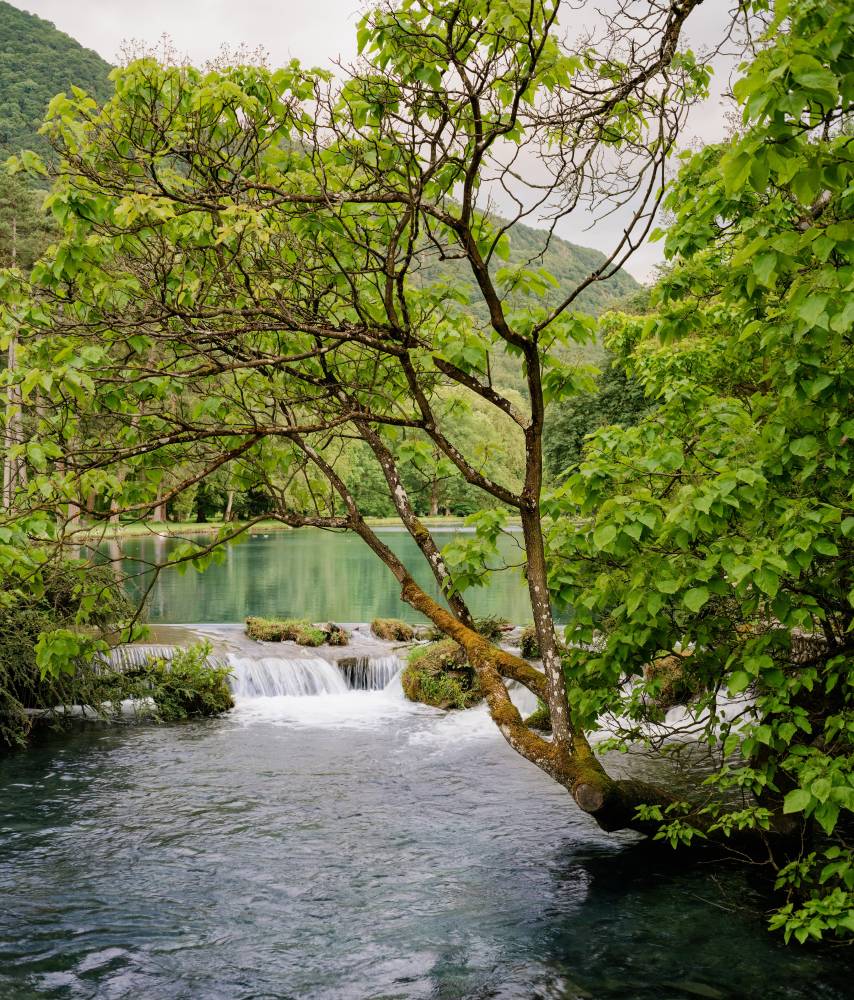 Entre eaux calmes et tumultueuses ! - Vizille Entre eaux calmes et tumultueuses ! - Vizille