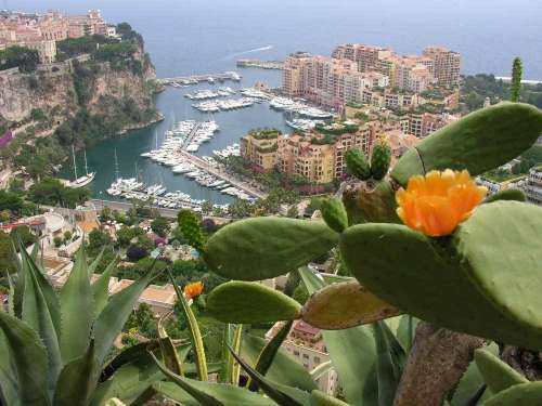 Der exotische Garten von Monaco