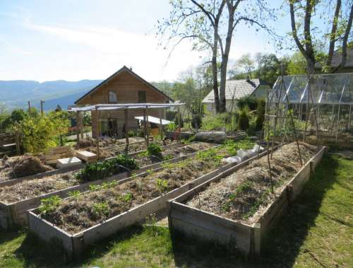 Jardin potager : Au refuge des graines