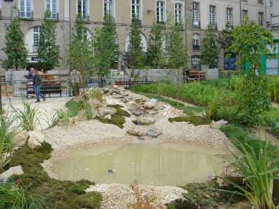 Cliquez pour agrandir l'image