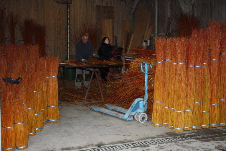 L'Osier de Gué Droit