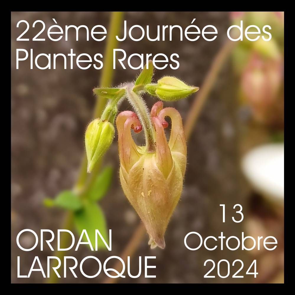 22ème Journée des plantes rares - Ordan-Larroque