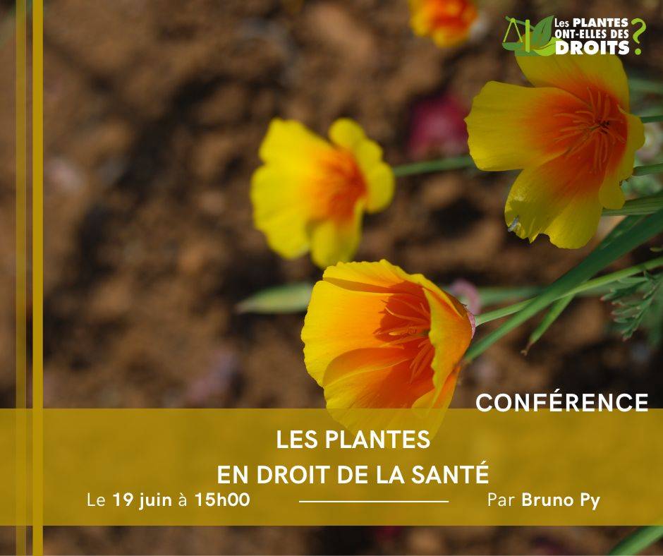 Les plantes en droit de la santé - Villers-lès-Nancy