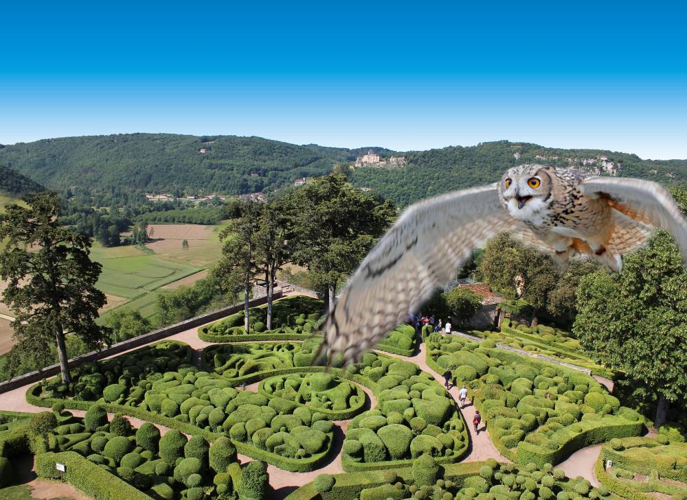 Journée spéciale oiseaux aux Jardins de Marqueyssac - Vézac