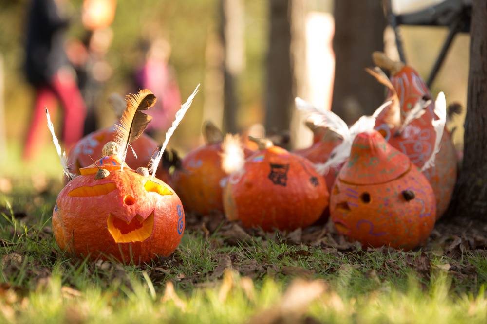 Halloween aux Jardins de Colette - Varetz