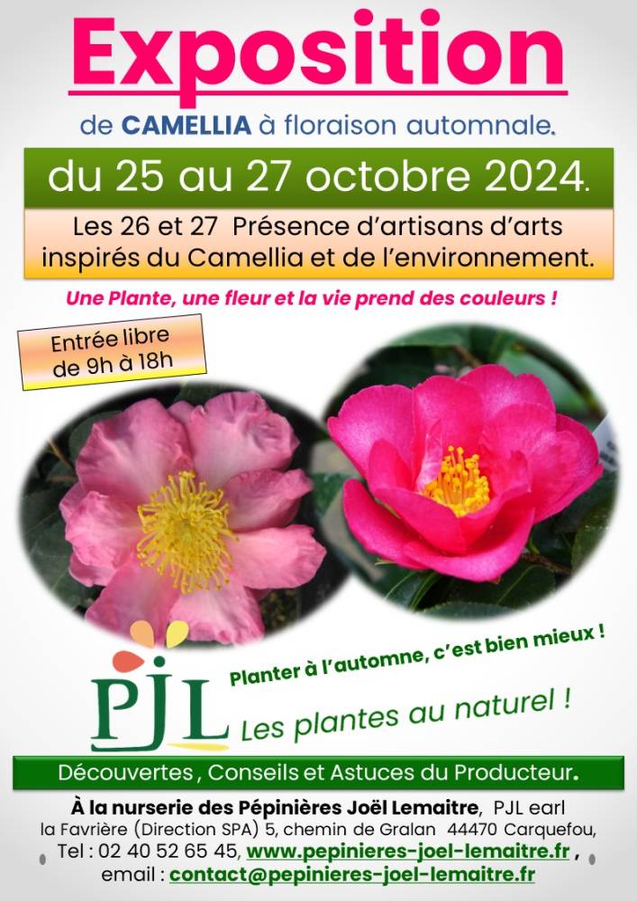 Exposition de Camellia à floraison automnale