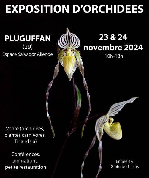 Exposition d'orchidées - Pluguffan