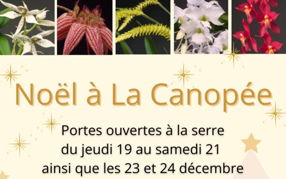 Portes ouvertes de Noël à La Canopée - Plougastel-Daoulas