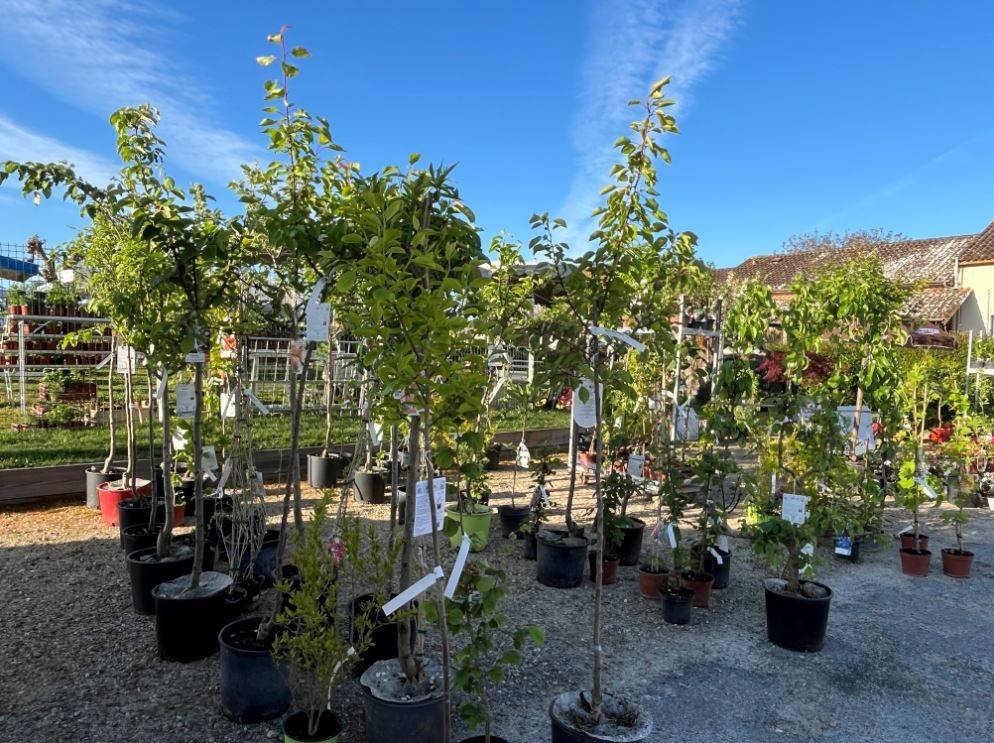 Foire aux plantes et marché artisanal - LOUBENS