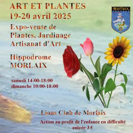 Art et plantes - Morlaix 