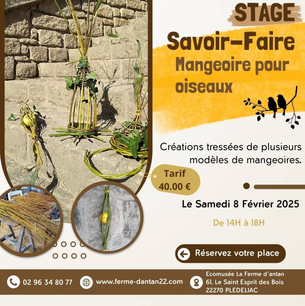 Stage Savoir-Faire Mangeoire pour oiseaux - Plédéliac  