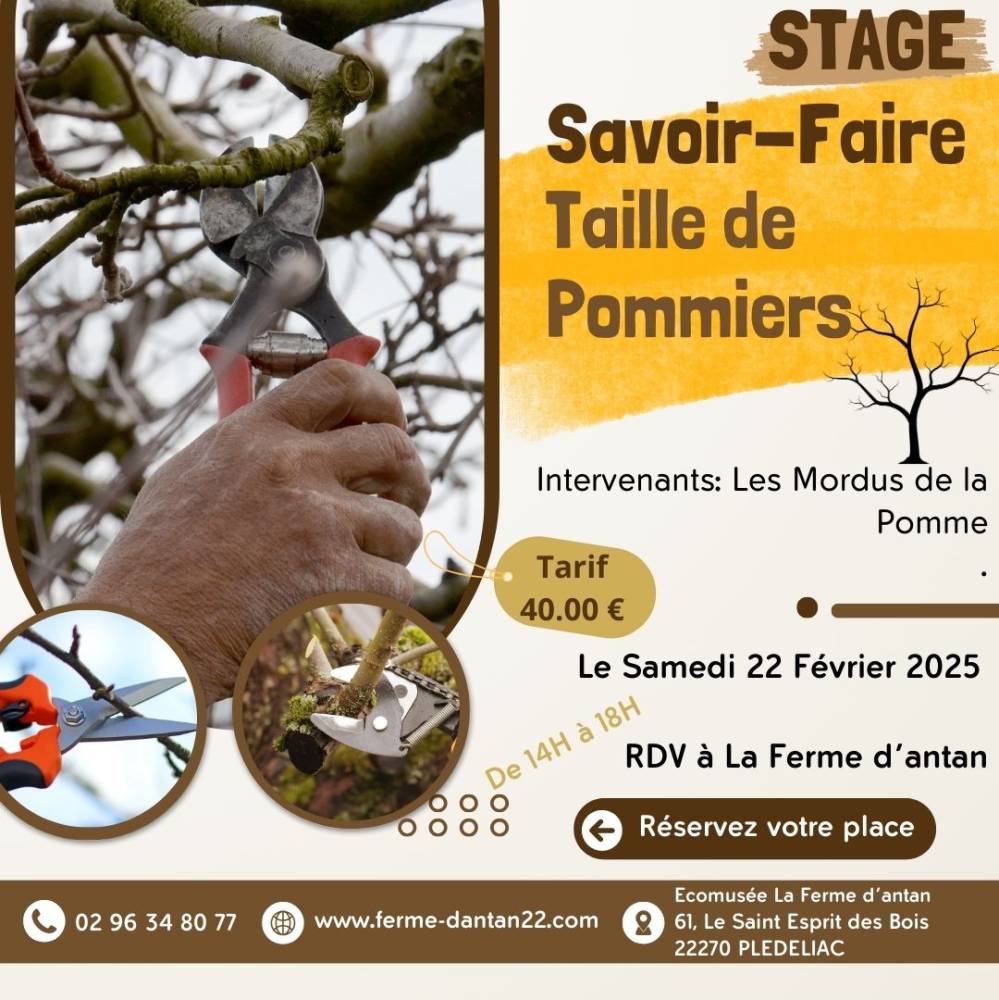 Stage Savoir-Faire Taille de Pommiers - Plédéliac  