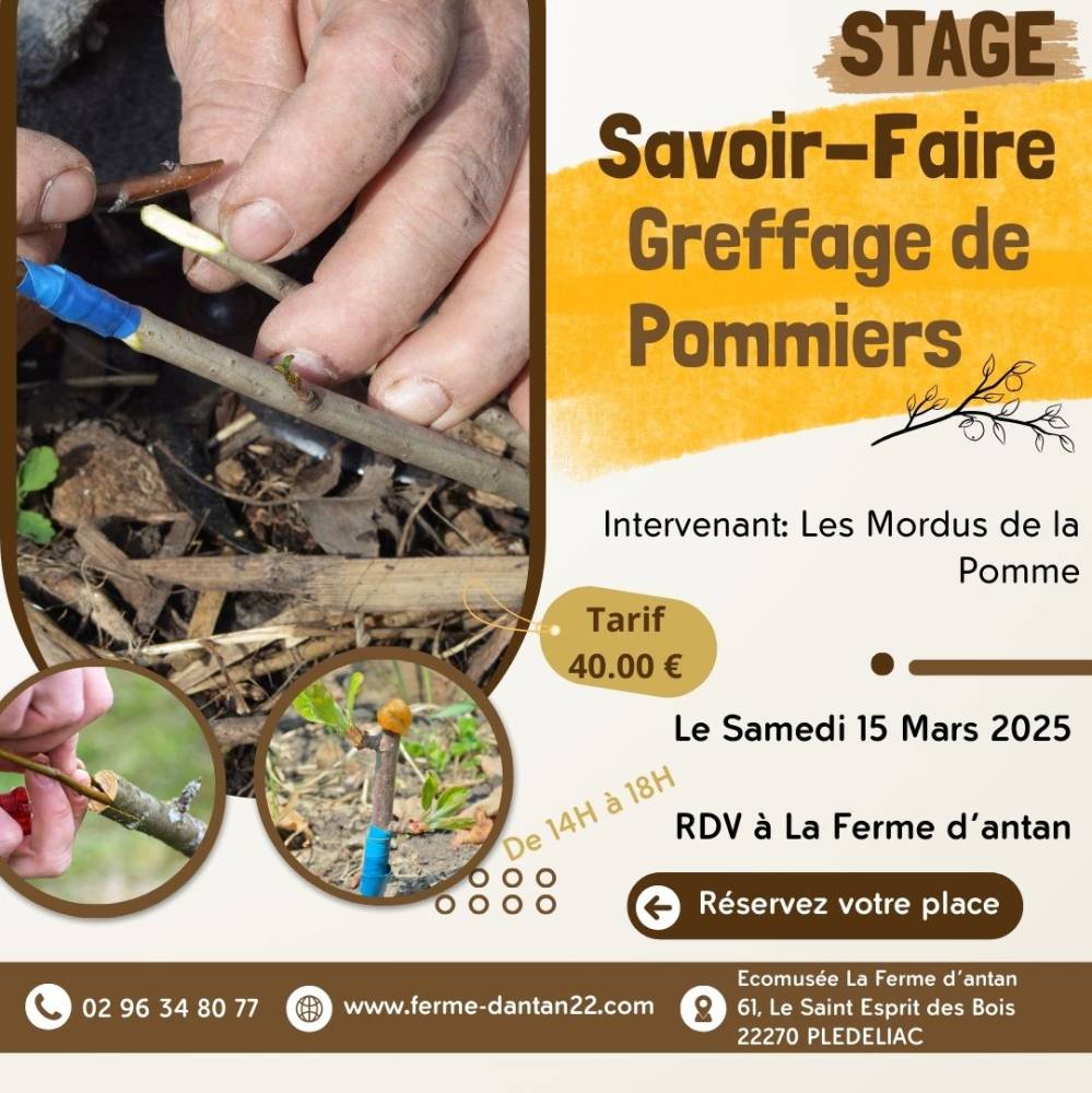 Stage Savoir-Faire Greffage de Pommiers - Plédéliac  