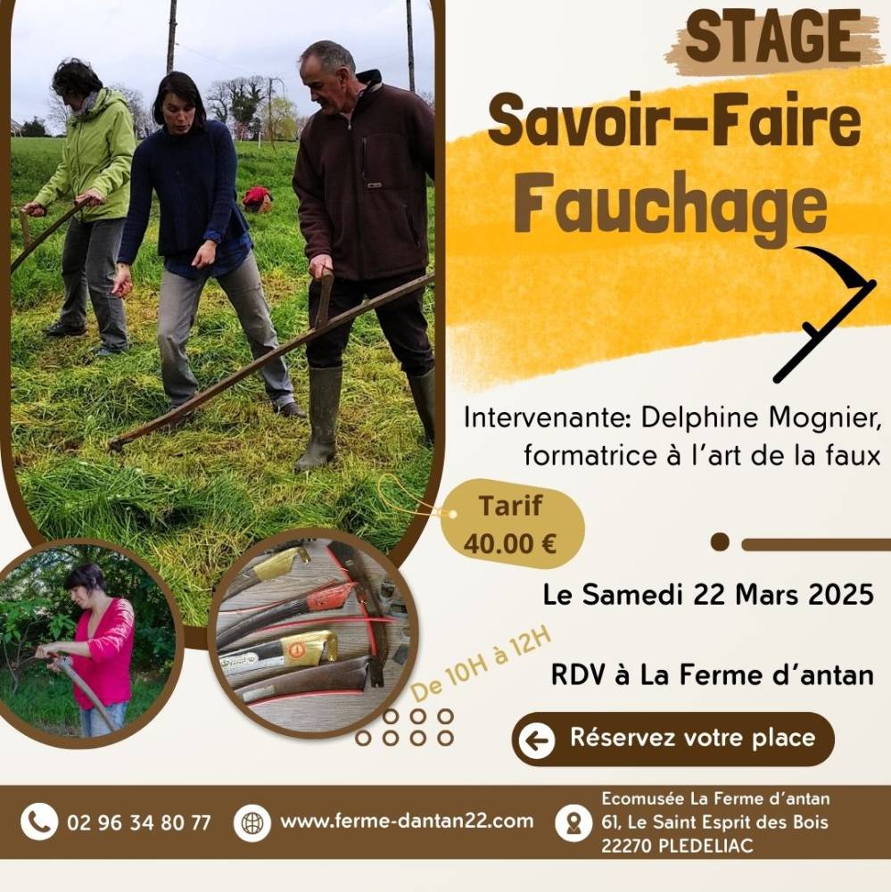 Stage Savoir-Faire Fauchage - Plédéliac  