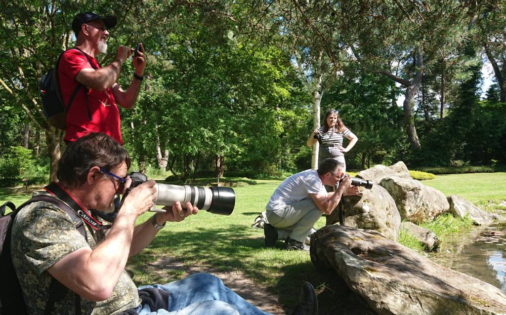 Atelier photos de jardins - Ingrannes