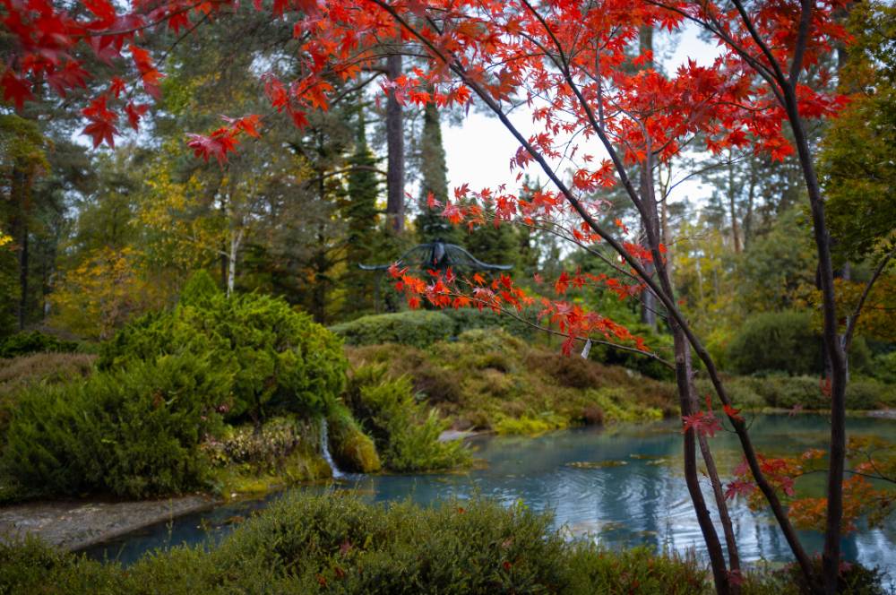 Dimanches d'Automne - Ingrannes