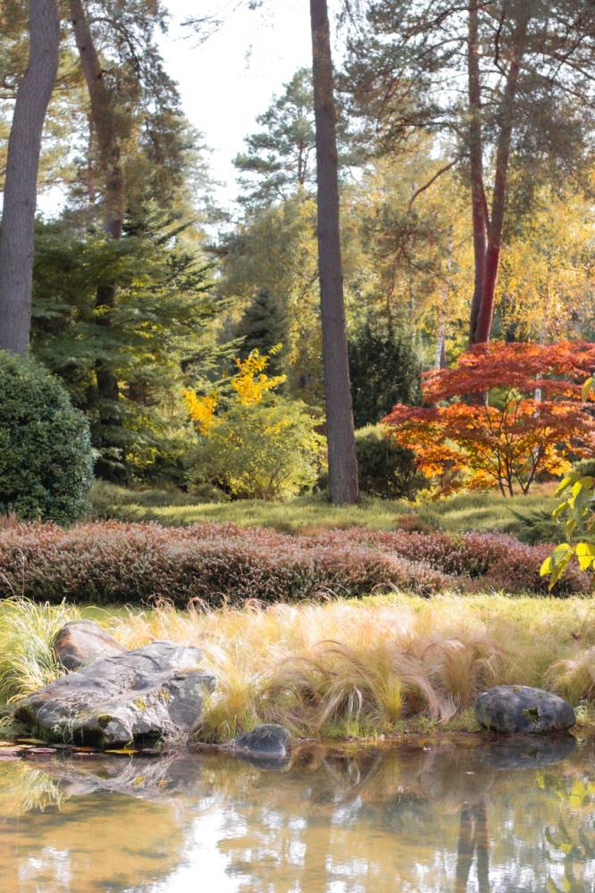 Atelier photos de jardins - Ingrannes