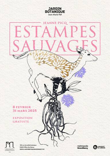 Estampes sauvages