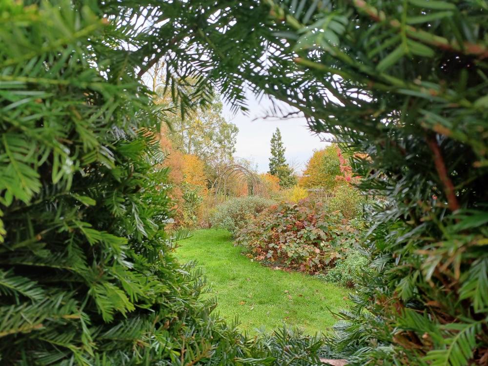 ateliers le printemps au jardin - MENEAC