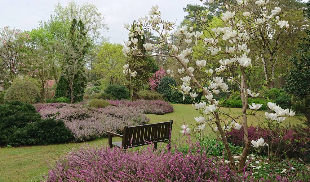 Dimanches Magnolias - Ingrannes Dimanches Magnolias - Ingrannes