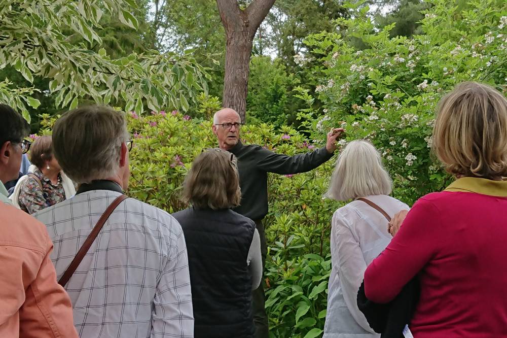 Les Roses Anciennes - Ingrannes Les Roses Anciennes - Ingrannes