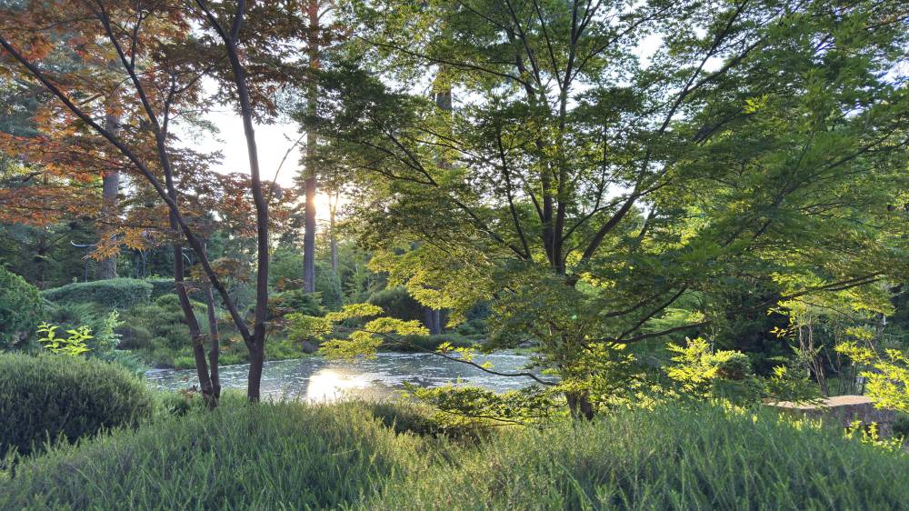 Belles soirées d'été - Ingrannes Belles soirées d'été - Ingrannes