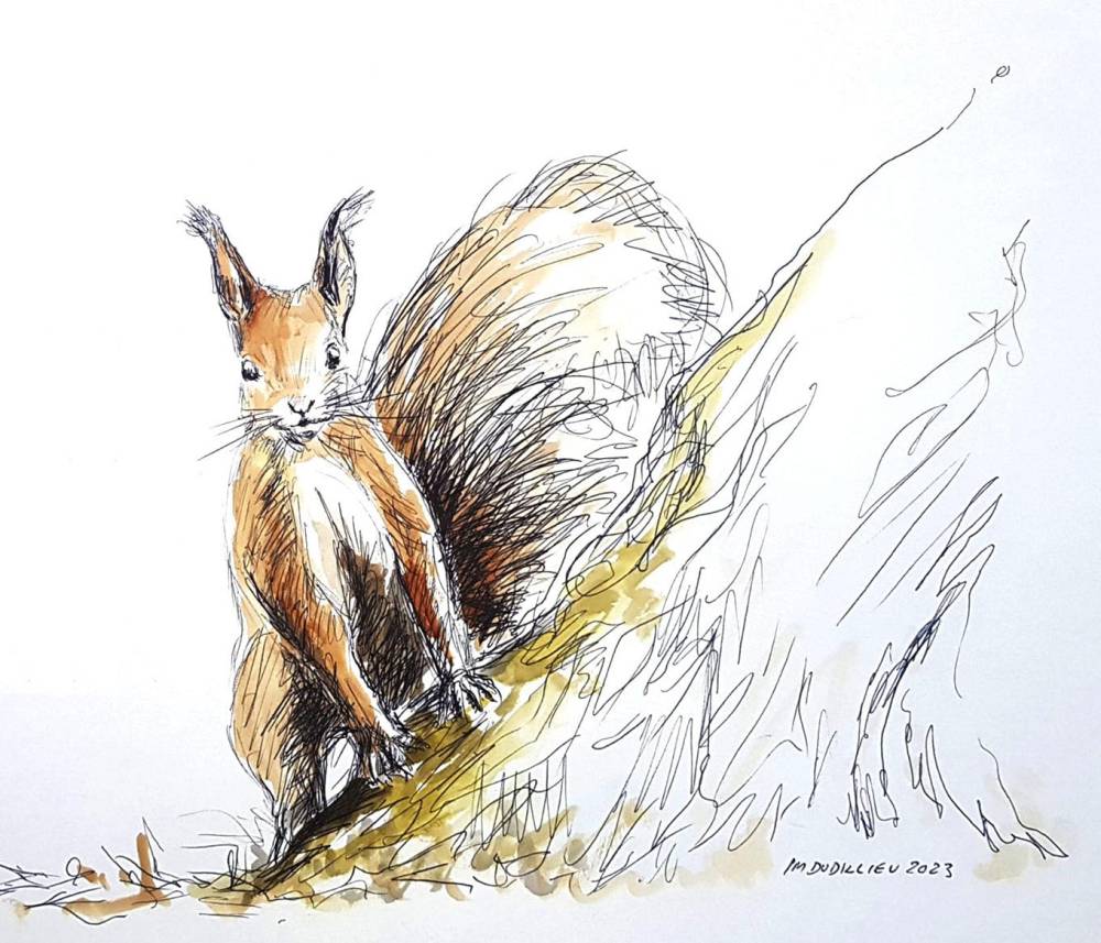 Sillages botaniques - Ingrannes Sillages botaniques - Ingrannes