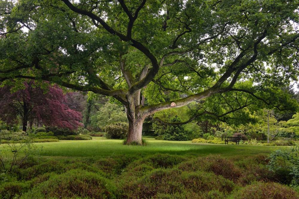 Journées Européennes du Patrimoine - Ingrannes Journées Européennes du Patrimoine - Ingrannes