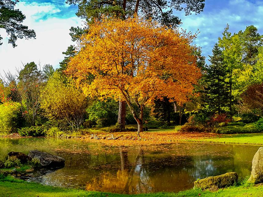 Concours photos ”Automne” - Ingrannes Concours photos ”Automne” - Ingrannes