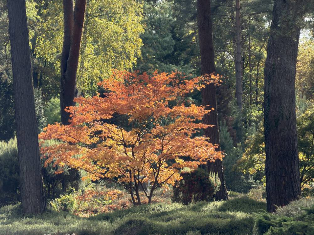 Crépuscules flamboyants - Ingrannes Crépuscules flamboyants - Ingrannes