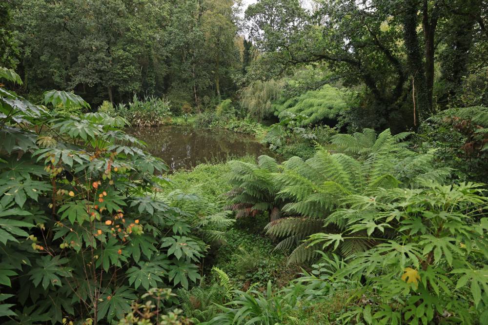 La vallée des Bambous