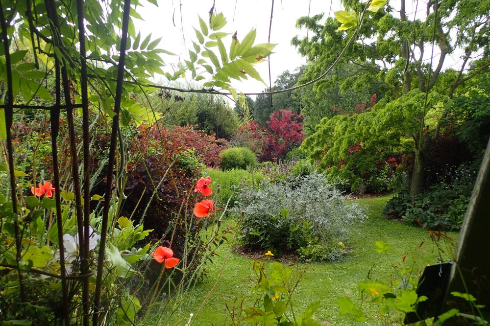 Jardin du crapaud à trois pattes