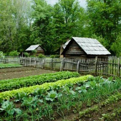 Pépinière Les Jardins de l'oiseau